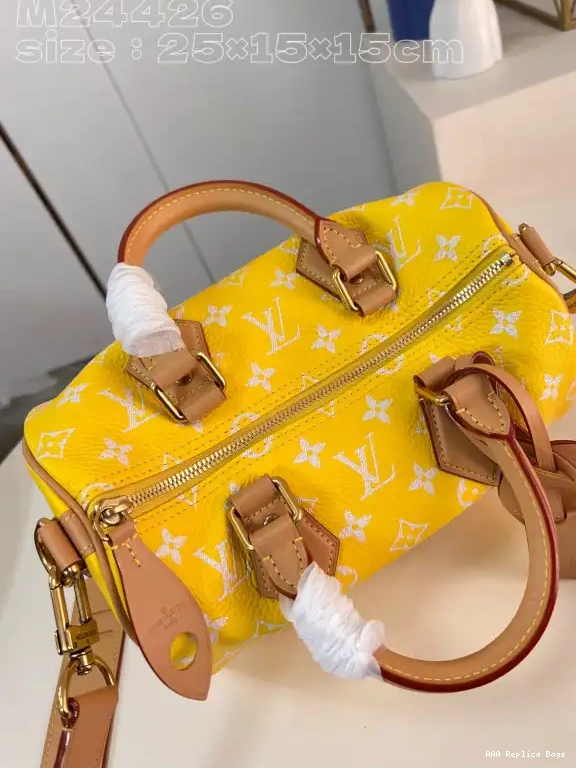 Aaa replica bags 25 Louis SPEEDY Vuitton 0529